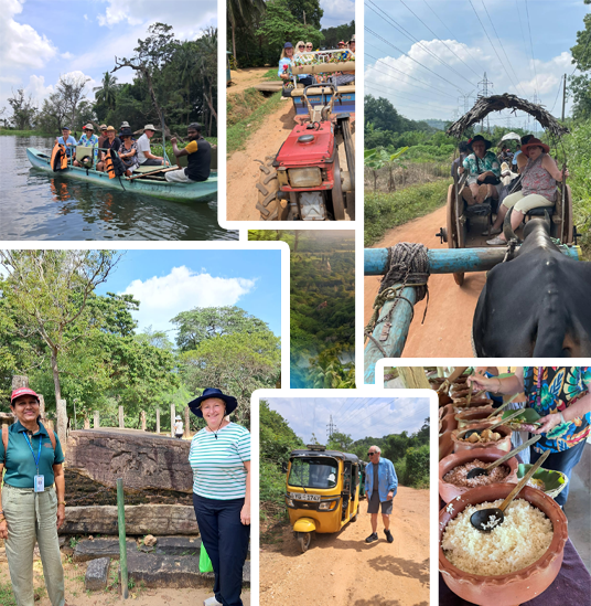 JKL Sri Lanka Tours