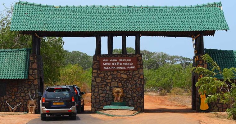 YALA.NATIONAL.PARK_